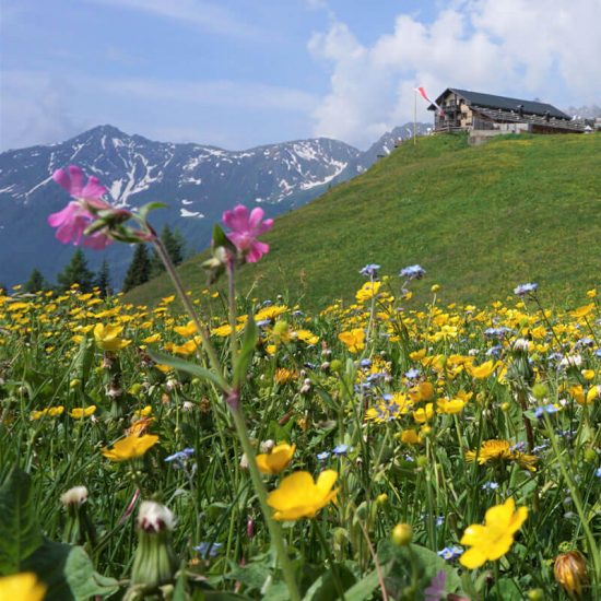 “Frühlingserwachen in Südtirol”