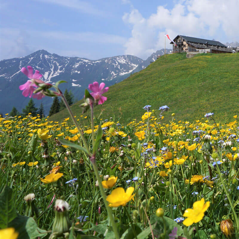 Risveglio della primavera in Alto Adige