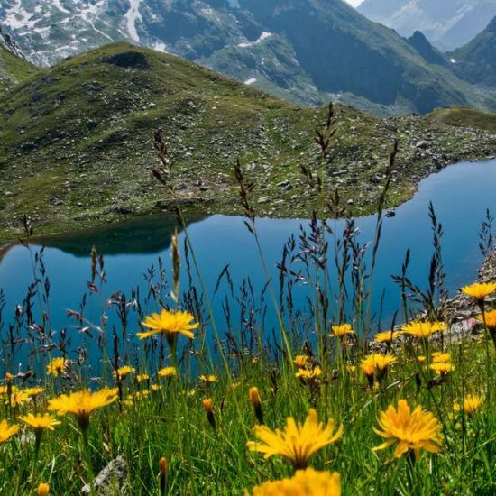 Pension Hofer in Vintl / Weitental - Südtirol