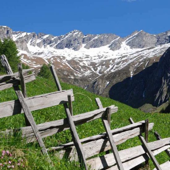 Pension Hofer in Vintl / Weitental - Südtirol