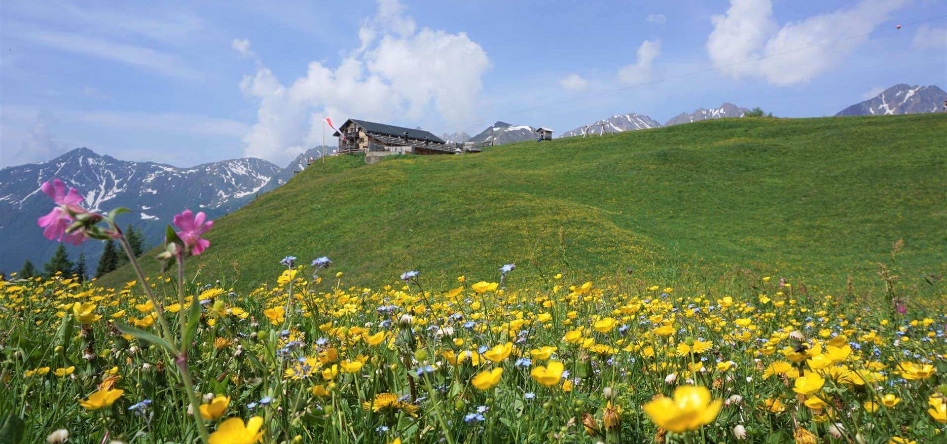 Sommerurlaub Gitschberg Jochtal - Pustertal / Weitental / Pfunderertal - Südtirol