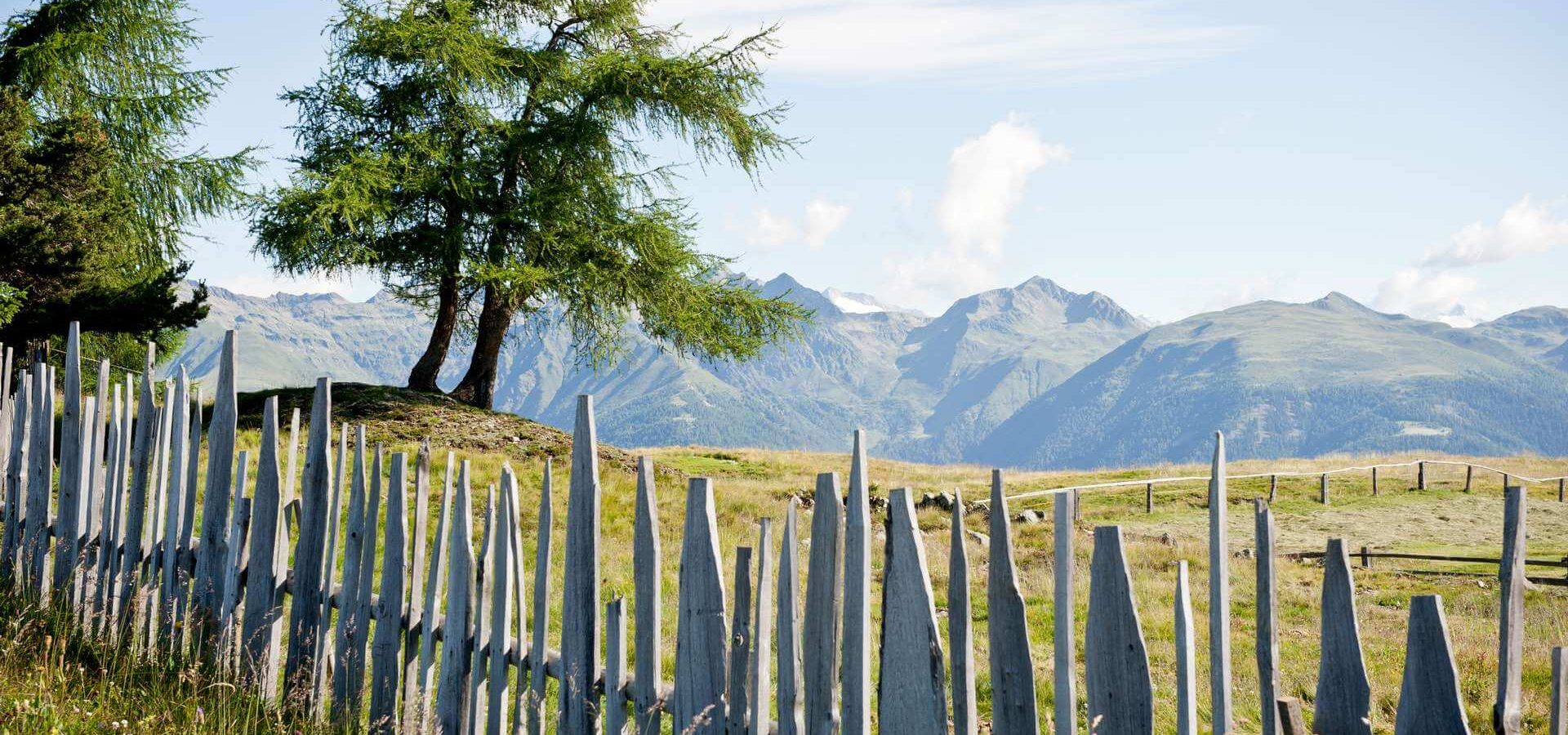 Sommerurlaub Gitschberg Jochtal - Pustertal / Weitental / Pfunderertal - Südtirol