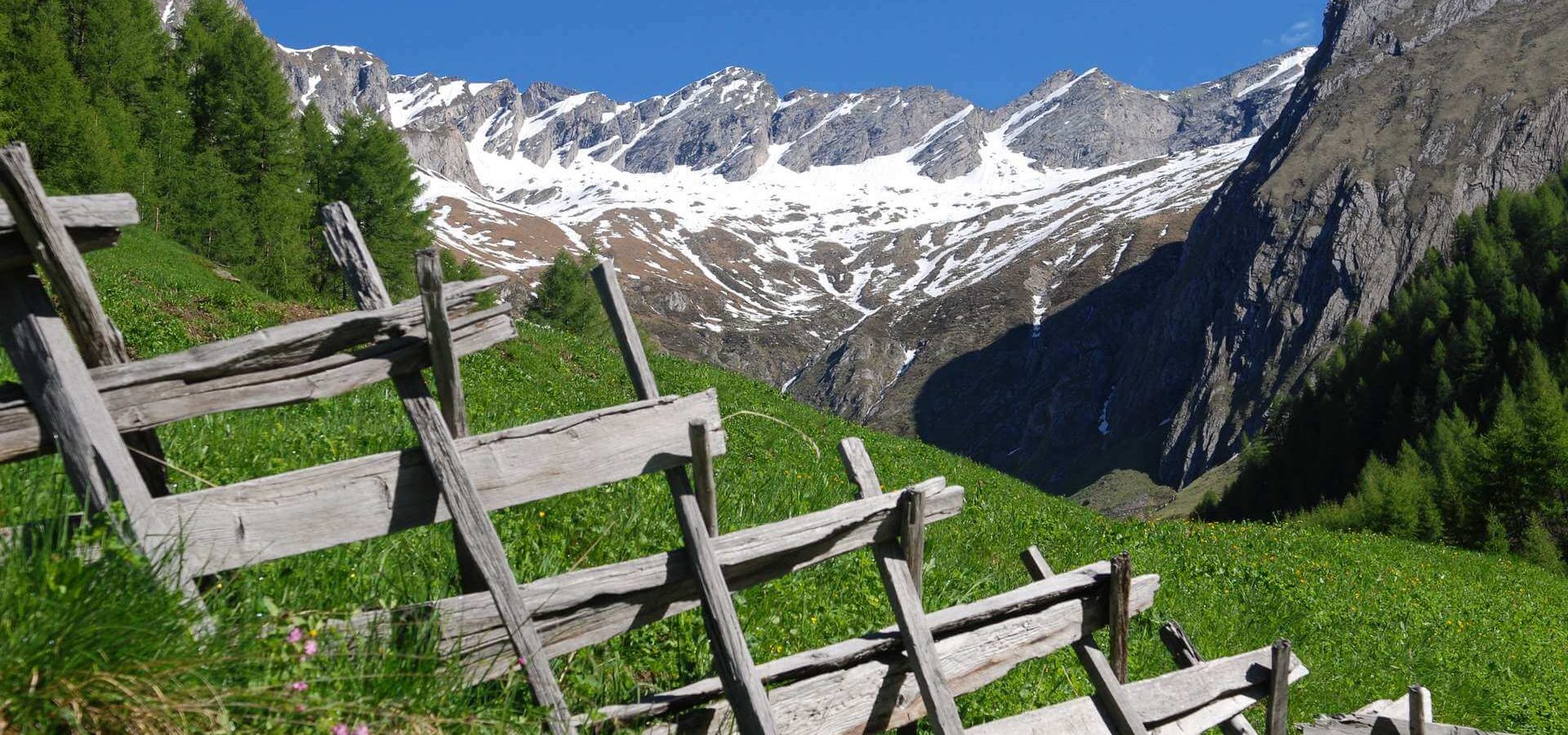 Urlaub im Weitental Südtirol