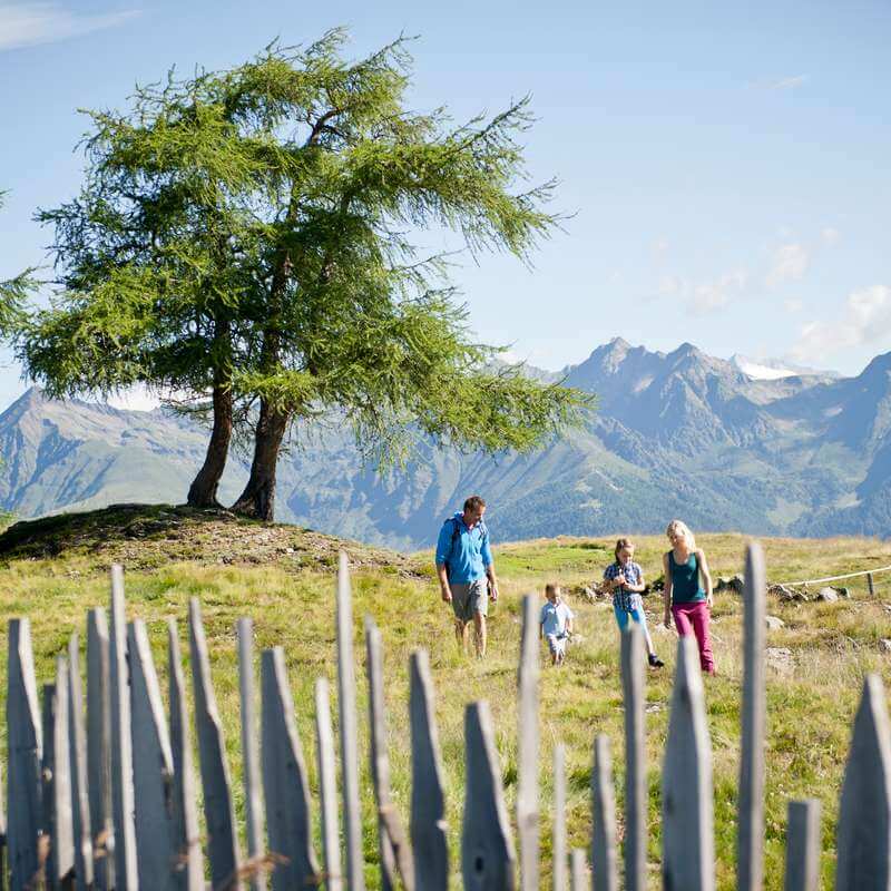 Excursion tips in Weitental & surroundings - Rodenecker Alm