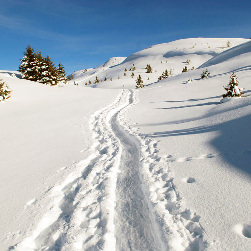 Winterurlaub in Südtirol 